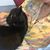 Eno Lescu's profile image