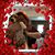 Lisa Abraham's profile image