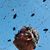 Alan Hawkins's profile image