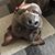 Melinda N John Collins's profile image