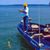 Elaine Brumbalow Chesser's profile image