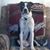 Shane Moreland's profile image