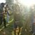 Christina Solorio's profile image