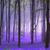 Barbara McCormack's profile image