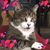 Timi Burgess's profile image