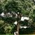 Berenice Pereyra's profile image