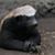Christopher Clark's profile image
