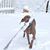 David Staskowski's profile image