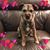 Karol Michner Kroeze's profile image