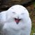 John E. Ache's profile image