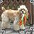 Rita S Siracusa's profile image