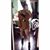 Lizet Lopez's profile image