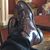 Richard Brownell's profile image