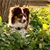 Doug Rutter's profile image
