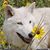 Sherrie Gregory's profile image