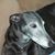 JoAnn Hern Stoy's profile image