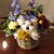 Susan K. W. Erlenbach's profile image