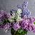 Missy Tansey's profile image