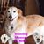 Sarah L Williams's profile image