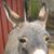 Randy Bryson's profile image