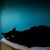 Henry James Stindt's profile image