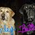 Stephanie Grammes's profile image