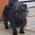 Keith D Brown's profile image