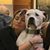 Chesney Kirchner West's profile image
