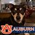 Wendy Hubbard's profile image