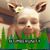 Rhonda Dahlenburg's profile image