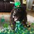 Susan Woodward Boone's profile image
