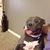 Jess Marcella's profile image