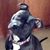 Denise Bolster's profile image