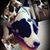 Katherine Granillo's profile image