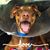 Kimberly Jones's profile image