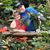 Linda Pentecost Waite's profile image