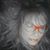 Tammy R. Lawson's profile image