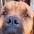 Roy Dye's profile image