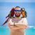 Donavan Stevens's profile image