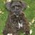George Le Cavalier Sr's profile image