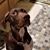 De La Vergne-Allen Diane's profile image