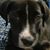 Joanne Ptak Lamasky's profile image