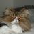 Marcus Steffens's profile image