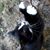 Aleta Moorhouse Dunbar's profile image
