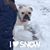 Molly Jansky's profile image