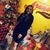 Cinthya Barrionuevo's profile image