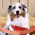 Sondra Narmont's profile image