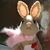 Lauren Allee's profile image