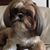 Lynn Hoang's profile image
