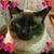 Kris Hughes's profile image